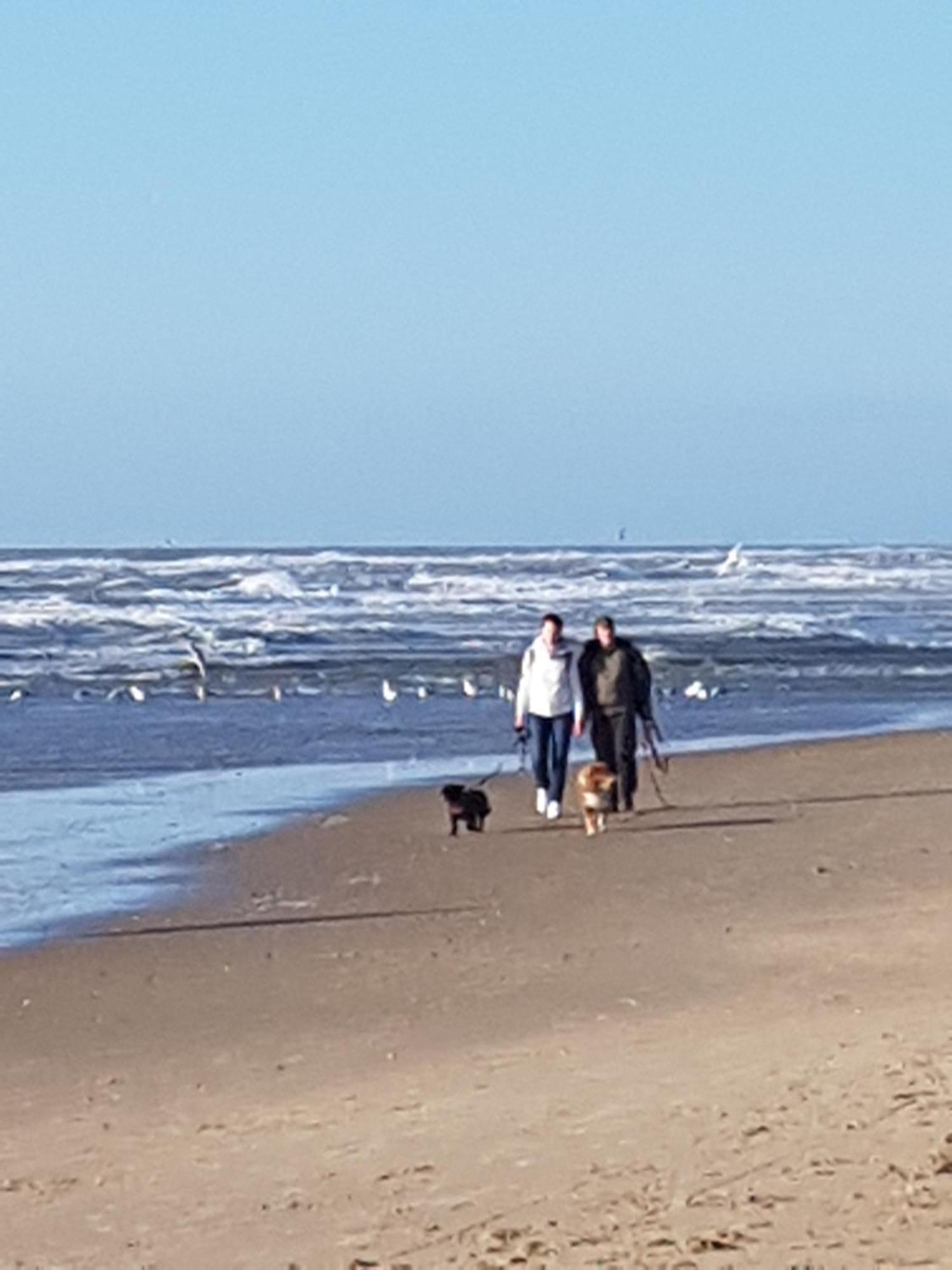 Romantisch Huisje Nabij Het Strand Met Uitzicht Op De Tulpenvelden Julianadorp Bagian luar foto