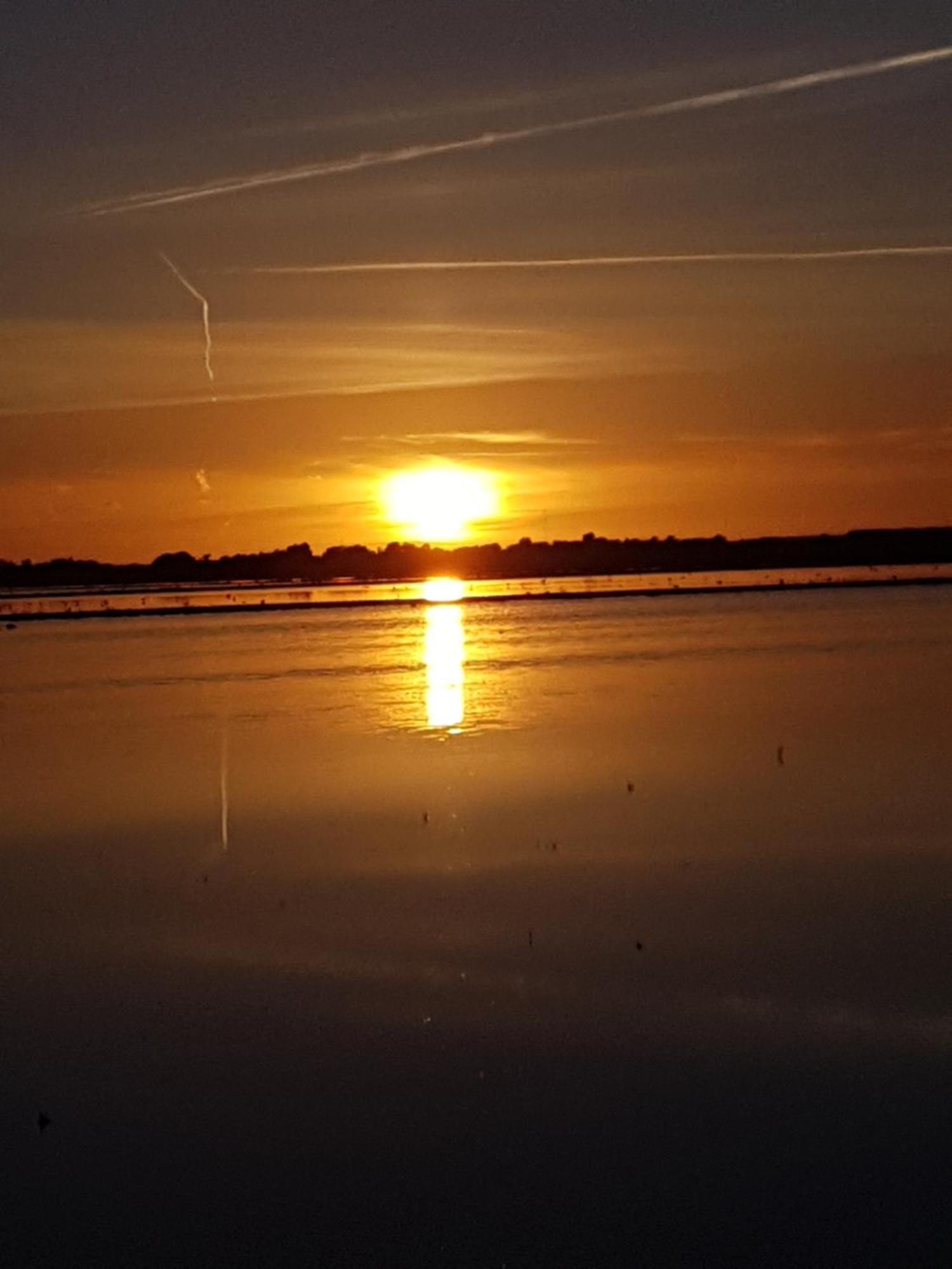 Romantisch Huisje Nabij Het Strand Met Uitzicht Op De Tulpenvelden Julianadorp Bagian luar foto