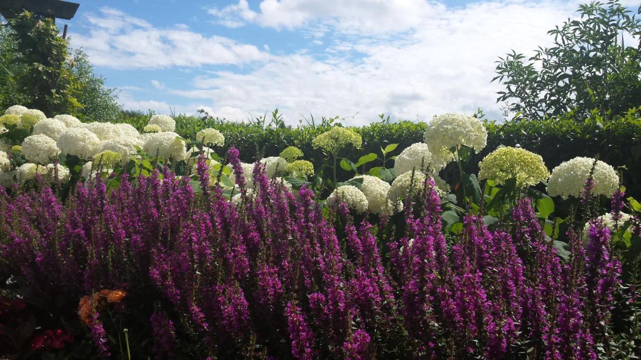 Romantisch Huisje Nabij Het Strand Met Uitzicht Op De Tulpenvelden Julianadorp Bagian luar foto