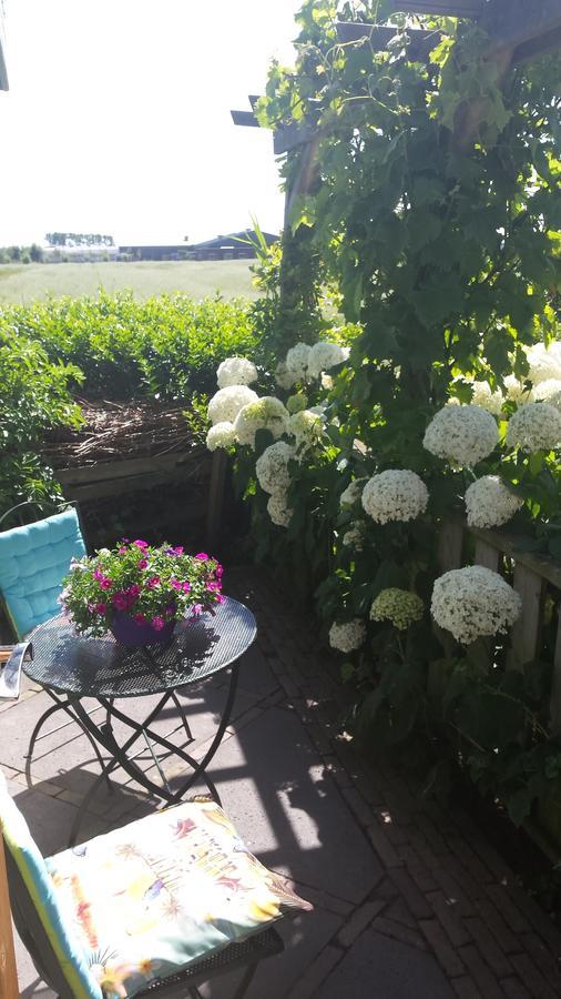 Romantisch Huisje Nabij Het Strand Met Uitzicht Op De Tulpenvelden Julianadorp Bagian luar foto
