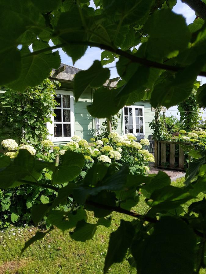 Romantisch Huisje Nabij Het Strand Met Uitzicht Op De Tulpenvelden Julianadorp Bagian luar foto